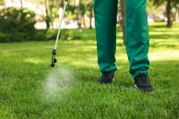 Best Residential Pest Control  in Griswold, IA