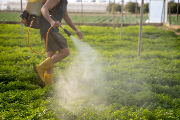 Best Pest Control Near Me in Griswold, IA