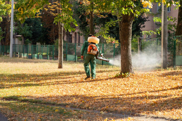 Best Emergency Pest Control  in Griswold, IA