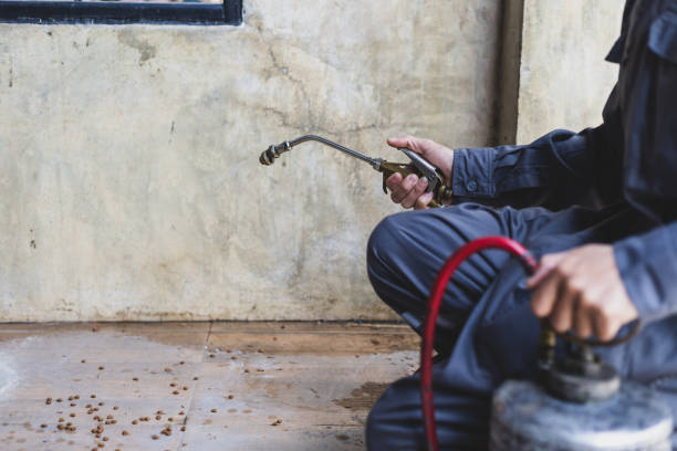 Best Pest Control for Businesses  in Griswold, IA